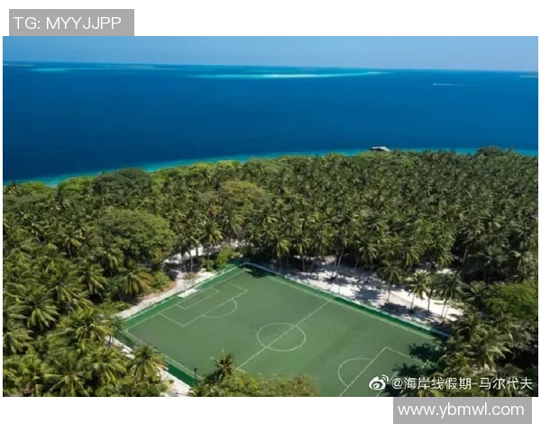 荷语区足球明星的崛起与影响力解析：从历史到现代的传奇旅程